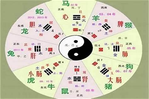 一字五行属什么|一字五行属什么